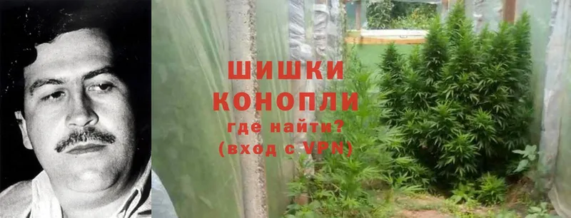 ссылка на мегу зеркало  Мосальск  Бошки Шишки LSD WEED 